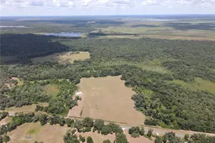 11810 SE County Road 234, Micanopy, FL 32667 - Photo 78