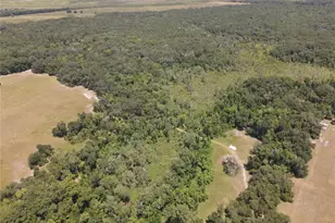 11810 SE County Road 234, Micanopy, FL 32667 - Photo 86