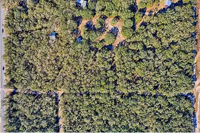 Us-129, Bell, FL 32619 - Photo 4