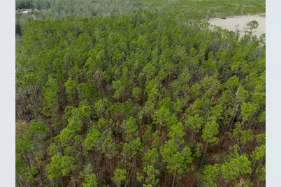 211th Court, Live Oak, FL 32060 - Photo 10