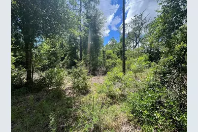 000 NE 822nd Street, Old Town, FL 32680 - Photo 2