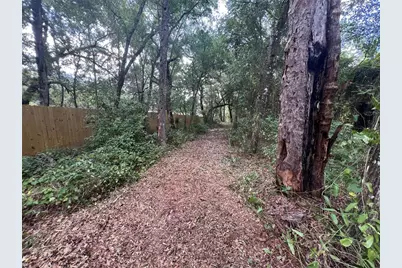 1963 State Road 20, Hawthorne, FL 32640 - Photo 8