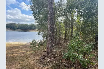 1963 State Road 20, Hawthorne, FL 32640 - Photo 6