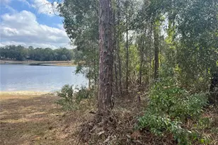 1963 State Road 20, Hawthorne, FL 32640 - Photo 6