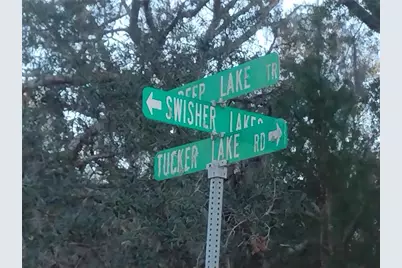 89 Tucker Lake Road, Melrose, FL 32666 - Photo 4