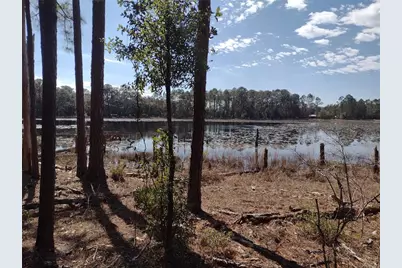 89 Tucker Lake Road, Melrose, FL 32666 - Photo 2