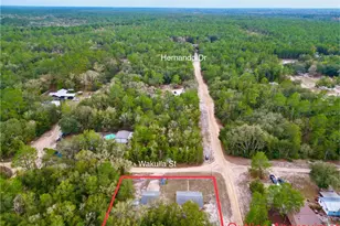 600 Wakulla St, Florahome, FL 32140 - Photo 36