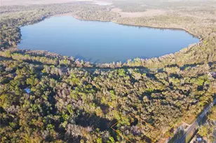 1302 SE Wacahoota Rd, Micanopy, FL 32667 - Photo 2