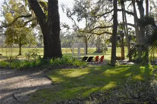 1302 SE Wacahoota Rd, Micanopy, FL 32667 - Photo 30