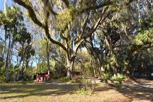 1302 SE Wacahoota Rd, Micanopy, FL 32667 - Photo 18