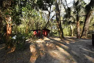 1302 SE Wacahoota Rd, Micanopy, FL 32667 - Photo 28