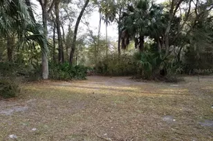 Lot 12 NW 70 Circle NW, Chiefland, FL 32626 - Photo 1