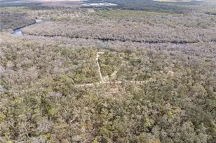 0 65th Pl A, Branford, FL 32008 - Photo 60