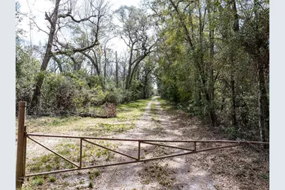 0 65th Place A, Branford, FL 32008 - Photo 12