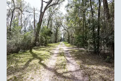 0 65th Place A, Branford, FL 32008 - Photo 14