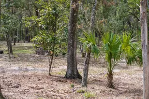 0 65th Pl A, Branford, FL 32008 - Photo 68
