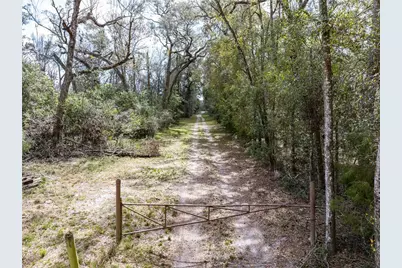 0 65th Place A, Branford, FL 32008 - Photo 20