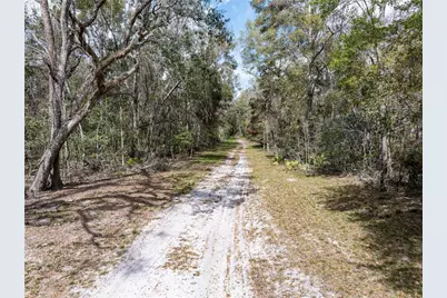 0 65th Place A, Branford, FL 32008 - Photo 58