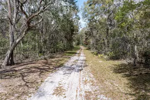 0 65th Pl A, Branford, FL 32008 - Photo 58