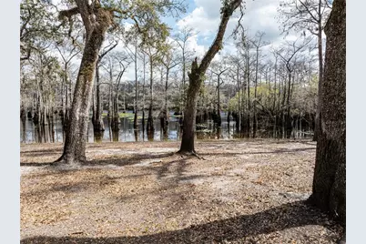 0 65th Place A, Branford, FL 32008 - Photo 48