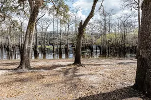 0 65th Pl A, Branford, FL 32008 - Photo 48