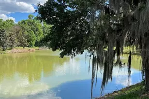 1569 NW 29 Rd, Gainesville, FL 32605 - Photo 14