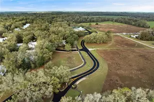 9250 Emily Dr, Fanning Springs, FL 32693 - Photo 50