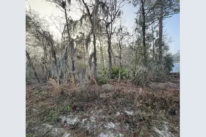 16009 SW 57th Terrace Road, Ocala, FL 34473 - Photo 2