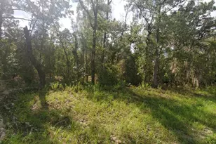 16009 SW 57th Terrace Rd, Ocala, FL 34473 - Photo 1