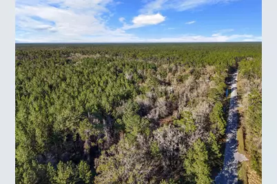 1317 NE Drew Road, Lake City, FL 32055 - Photo 24