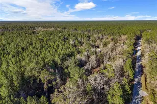 1317 NE Drew Rd, Lake City, FL 32055 - Photo 24