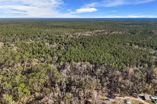 1317 NE Drew Rd, Lake City, FL 32055 - Photo 22