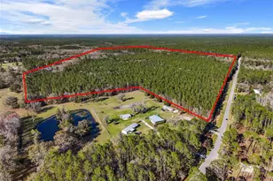 1317 NE Drew Rd, Lake City, FL 32055 - Photo 18