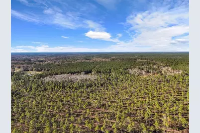 1317 NE Drew Road, Lake City, FL 32055 - Photo 26