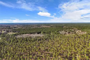 1317 NE Drew Rd, Lake City, FL 32055 - Photo 26