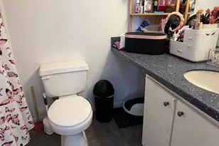 3800 SW 20th Ave Ave, Gainesville, FL 32607 - Photo 12