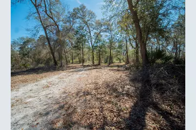 3949 184th Street, Wellborn, FL 32094 - Photo 30