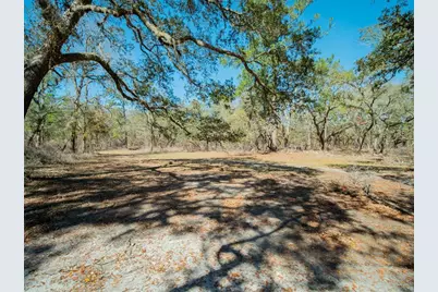 3949 184th Street, Wellborn, FL 32094 - Photo 32