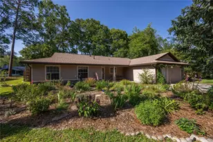 4426 NW 43rd Pl, Gainesville, FL 32606 - Photo 54
