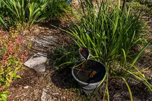 4426 NW 43rd Pl, Gainesville, FL 32606 - Photo 52