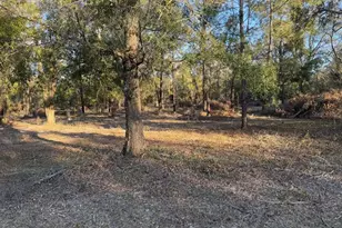 Roanoke Terrace, Fort White, FL 32038 - Photo 1