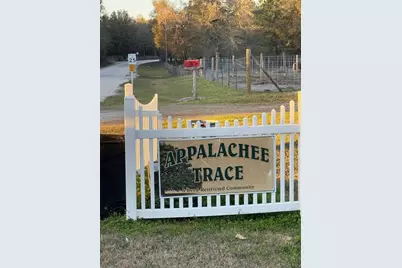 Roanoke Terrace, Fort White, FL 32038 - Photo 2