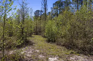 6917 NW 254 Ave, Alachua, FL 32615 - Photo 38