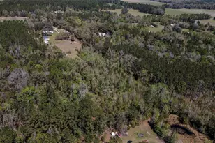 6917 NW 254 Ave, Alachua, FL 32615 - Photo 82