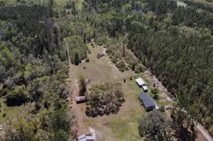 6917 NW 254 Ave, Alachua, FL 32615 - Photo 44