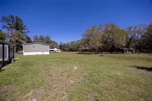 6917 NW 254 Ave, Alachua, FL 32615 - Photo 74