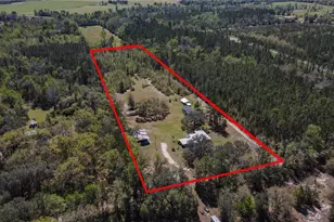 6917 NW 254 Ave, Alachua, FL 32615 - Photo 56