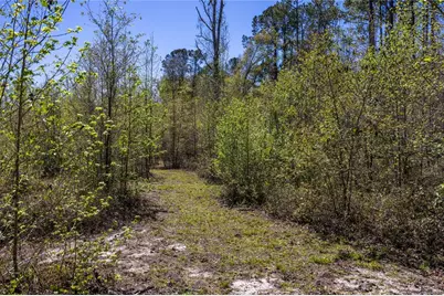 6917 NW 254th Avenue, Alachua, FL 32615 - Photo 80