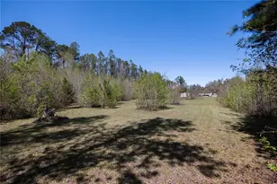 6917 NW 254 Ave, Alachua, FL 32615 - Photo 98