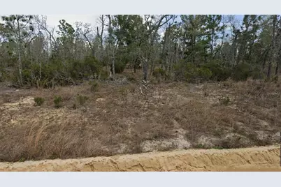 Lot 33 Twin Lakes Blvd, Interlachen, FL 32148 - Photo 1